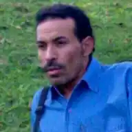 طنش تعش تنتعش WhatsApp Channel