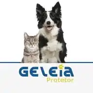 Vereador Geleia Protetor WhatsApp Channel
