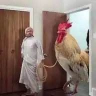 Xpat Comedy WhatsApp Channel