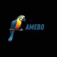 Amebo WhatsApp Channel
