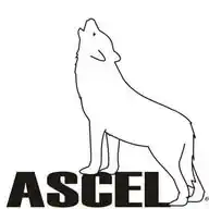 ASCEL WhatsApp Channel