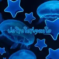 🪼 ✯ ᥇ﺃꪮꪻ᥅ꫀꪻꫀ᥅ﺃꪑꫀꪀꪻꪮ WhatsApp Channel