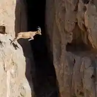 Crypto Bull Run WhatsApp Channel