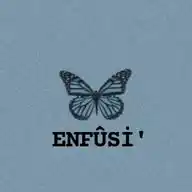 ENFÜSÎ WhatsApp Channel