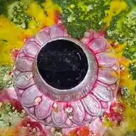 garibnathdham.in WhatsApp Channel