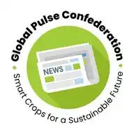 Global Pulses News WhatsApp Channel