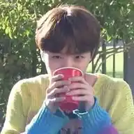 Hobi lover WhatsApp Channel