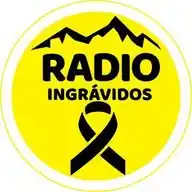 ingrAvidos WhatsApp Channel