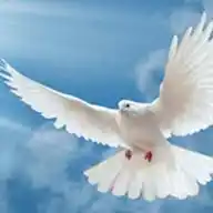 ÍNTIMOS DEL ESPÍRITU SANTO (MINISTERIO) WhatsApp Channel