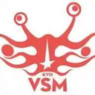 Kerk van het Vliegend Spaghettimonster WhatsApp Channel