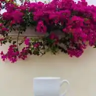 -دُرر سُنِية 🫧🌸: WhatsApp Channel