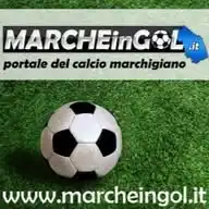 Marcheingol.it WhatsApp Channel