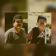 Mayos vs chapos WhatsApp Channel