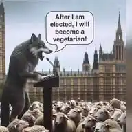 Memes by Dopeking WhatsApp Channel
