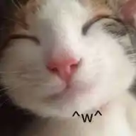 miau promos 🐈 WhatsApp Channel