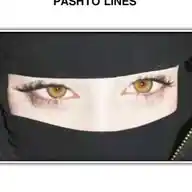 مینه WhatsApp Channel