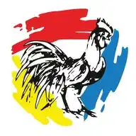 Orchester Dirlos 🐓🎶 Nachrichten WhatsApp Channel