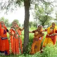 Rajasthan Live News WhatsApp Channel