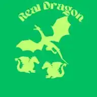 Real Dragon WhatsApp Channel
