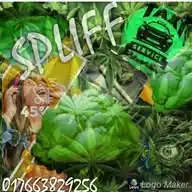spliff.taxie.de WhatsApp Channel