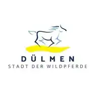 Stadt Dülmen WhatsApp Channel