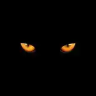 Tarot Gato Preto WhatsApp Channel