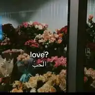 11:11 WhatsApp Channel