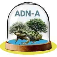 ADN-A WhatsApp Channel