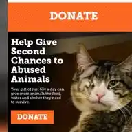 Animals welfare-PET DONATIONS CENTER  WhatsApp Channel
