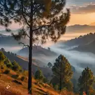 Abbottabad news WhatsApp Channel