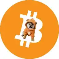 Dog Go To The Moon Brasil WhatsApp Channel