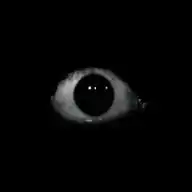 Doors - RPG WhatsApp Channel