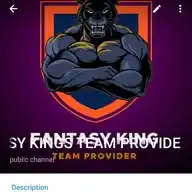 FANTASY KING TEAM PROVIDER 🏏 WhatsApp Channel