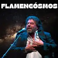 FLAMENCOSMOS WhatsApp Channel