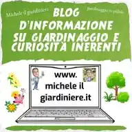 🪴 GIARDINAGGIO IN PILLOLE 🌺 BLOG di Michele il giardiniere 🧑‍🌾  WhatsApp Channel