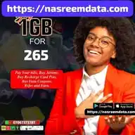 https://nasreemdata.com WhatsApp Channel