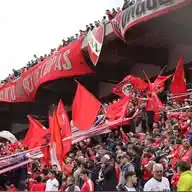 🔴 Info de #Independiente | Nelson Lafit  WhatsApp Channel