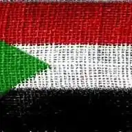 قناة موقع الراية نيوز على واتساب "اشترك الآن"✅ WhatsApp Channel