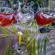 Machala Monet 1 WhatsApp Channel