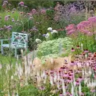 🌴Mon plan de jardin🌴 WhatsApp Channel