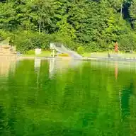 Naturerlebnisbad Niederalfingen WhatsApp Channel