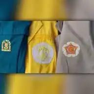 PTN 2025 Stuff ❤️ WhatsApp Channel