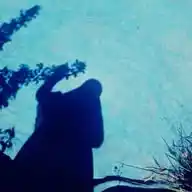 رَيـحانـة الإسلام 🦋💚 WhatsApp Channel
