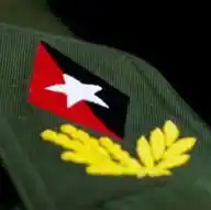 Seguimos D Verde Olivo WhatsApp Channel