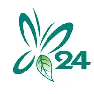 Service 24 Ambiente WhatsApp Channel