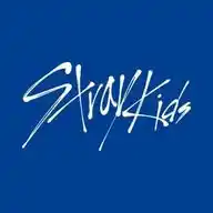 STRAY KIDS ✓ WhatsApp Channel