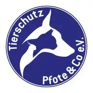 Tierschutz Pfote & Co e. V. WhatsApp Channel