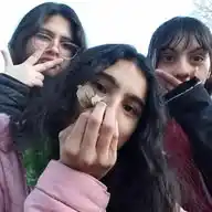 TrixAngels WhatsApp Channel