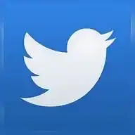 Twitter da Borba WhatsApp Channel