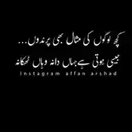 URDU ASHAAR O AQWAL اردو اشعار و اقوال WhatsApp Channel